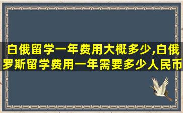 白俄留学一年费用大概多少,白俄罗斯留学费用一年需要多少人民币