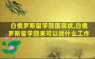 白俄罗斯留学回国现状,白俄罗斯留学回来可以找什么工作