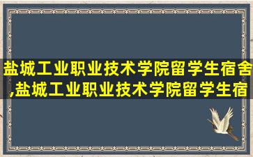 盐城工业职业技术学院留学生宿舍,盐城工业职业技术学院留学生宿舍楼照片