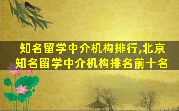 知名留学中介机构排行,北京知名留学中介机构排名前十名