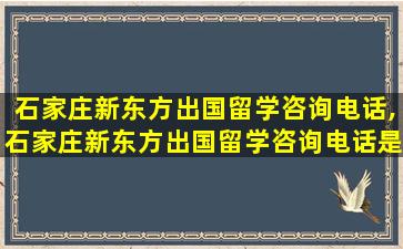 石家庄新东方出国留学咨询电话,石家庄新东方出国留学咨询电话是多少