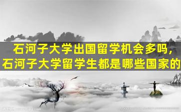 石河子大学出国留学机会多吗,石河子大学留学生都是哪些国家的