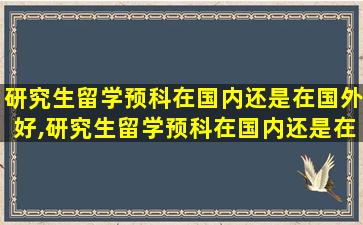 研究生留学预科在国内还是在国外好,研究生留学预科在国内还是在国外好呢