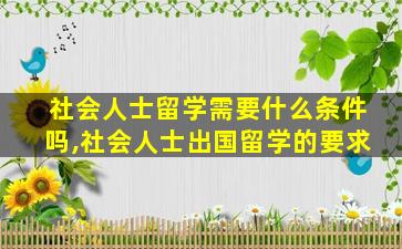 社会人士留学需要什么条件吗,社会人士出国留学的要求