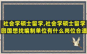 社会学硕士留学,社会学硕士留学回国想找编制单位有什么岗位合适