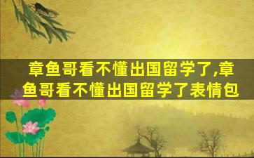 章鱼哥看不懂出国留学了,章鱼哥看不懂出国留学了表情包