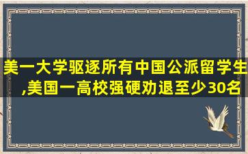 美一大学驱逐所有中国公派留学生,美国一高校强硬劝退至少30名中国留学生