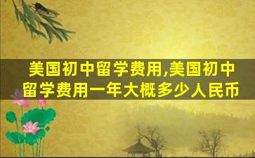 美国初中留学费用,美国初中留学费用一年大概多少人民币