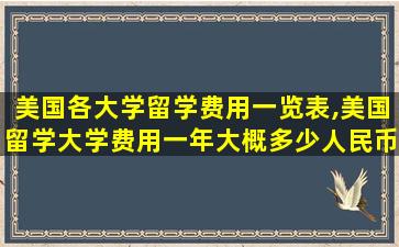 美国各大学留学费用一览表,美国留学大学费用一年大概多少人民币