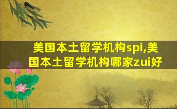 美国本土留学机构spi,美国本土留学机构哪家zui
好