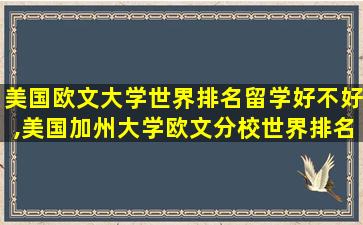 美国欧文大学世界排名留学好不好,美国加州大学欧文分校世界排名多少