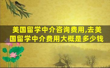 美国留学中介咨询费用,去美国留学中介费用大概是多少钱