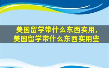 美国留学带什么东西实用,美国留学带什么东西实用些