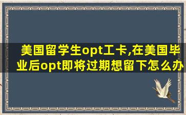 美国留学生opt工卡,在美国毕业后opt即将过期想留下怎么办