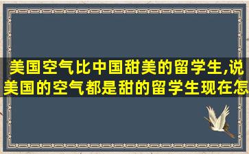 美国空气比中国甜美的留学生,说美国的空气都是甜的留学生现在怎么样了