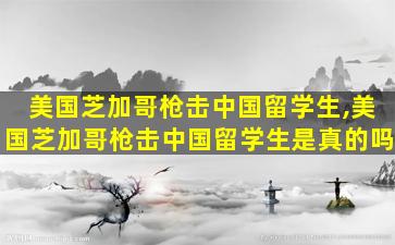 美国芝加哥枪击中国留学生,美国芝加哥枪击中国留学生是真的吗