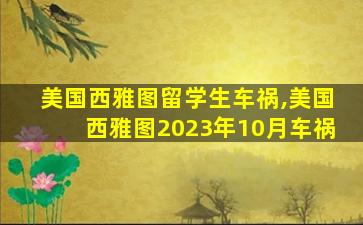 美国西雅图留学生车祸,美国西雅图2023年10月车祸