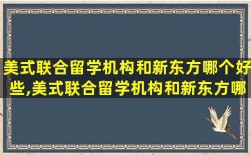 美式联合留学机构和新东方哪个好些,美式联合留学机构和新东方哪个好