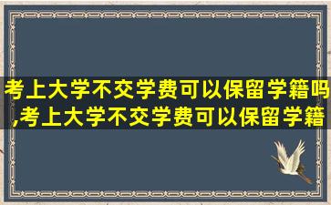 考上大学不交学费可以保留学籍吗,考上大学不交学费可以保留学籍吗知乎