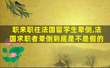 职来职往法国留学生晕倒,法国求职者晕倒到底是不是假的