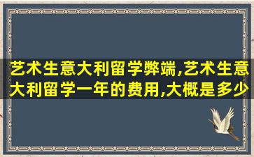 艺术生意大利留学弊端,艺术生意大利留学一年的费用,大概是多少