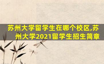 苏州大学留学生在哪个校区,苏州大学2021留学生招生简章