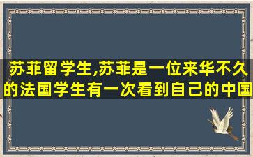 苏菲留学生,苏菲是一位来华不久的法国学生有一次看到自己的中国