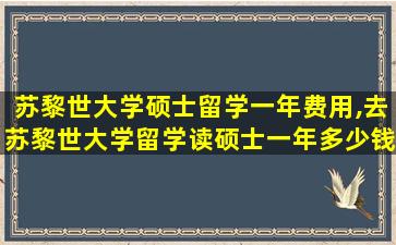 苏黎世大学硕士留学一年费用,去苏黎世大学留学读硕士一年多少钱