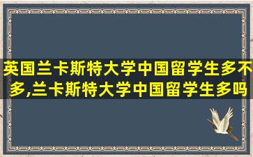 英国兰卡斯特大学中国留学生多不多,兰卡斯特大学中国留学生多吗