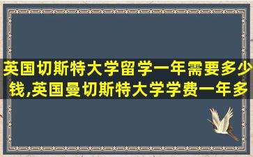 英国切斯特大学留学一年需要多少钱,英国曼切斯特大学学费一年多少