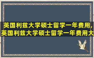 英国利兹大学硕士留学一年费用,英国利兹大学硕士留学一年费用大概多少