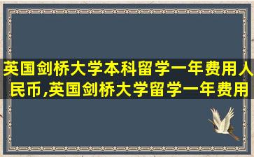 英国剑桥大学本科留学一年费用人民币,英国剑桥大学留学一年费用拆人民币多少