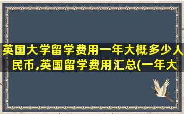 英国大学留学费用一年大概多少人民币,英国留学费用汇总(一年大概多少钱)