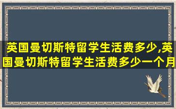 英国曼切斯特留学生活费多少,英国曼切斯特留学生活费多少一个月