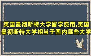 英国曼彻斯特大学留学费用,英国曼彻斯特大学相当于国内哪些大学