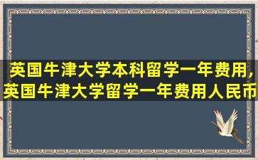 英国牛津大学本科留学一年费用,英国牛津大学留学一年费用人民币