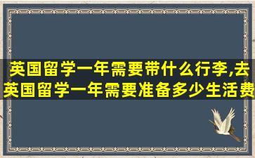 英国留学一年需要带什么行李,去英国留学一年需要准备多少生活费