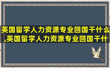 英国留学人力资源专业回国干什么,英国留学人力资源专业回国干什么工作好