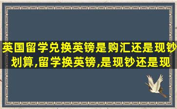 英国留学兑换英镑是购汇还是现钞划算,留学换英镑,是现钞还是现汇好