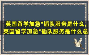 英国留学加急*
插队服务是什么,英国留学加急*
插队服务是什么意思啊