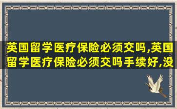 英国留学医疗保险必须交吗,英国留学医疗保险必须交吗手续好,没让交费