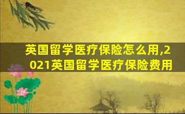 英国留学医疗保险怎么用,2021英国留学医疗保险费用