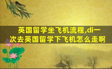 英国留学坐飞机流程,di一
次去英国留学下飞机怎么走啊