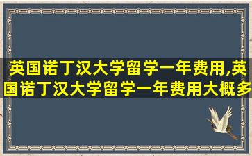 英国诺丁汉大学留学一年费用,英国诺丁汉大学留学一年费用大概多少