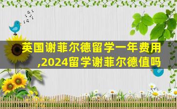 英国谢菲尔德留学一年费用,2024留学谢菲尔德值吗