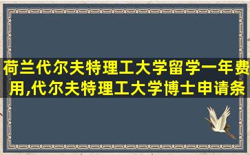 荷兰代尔夫特理工大学留学一年费用,代尔夫特理工大学博士申请条件