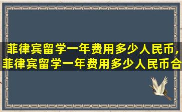 菲律宾留学一年费用多少人民币,菲律宾留学一年费用多少人民币合适