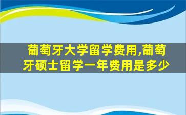 葡萄牙大学留学费用,葡萄牙硕士留学一年费用是多少