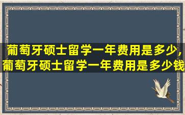 葡萄牙硕士留学一年费用是多少,葡萄牙硕士留学一年费用是多少钱