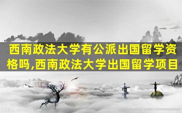 西南政法大学有公派出国留学资格吗,西南政法大学出国留学项目